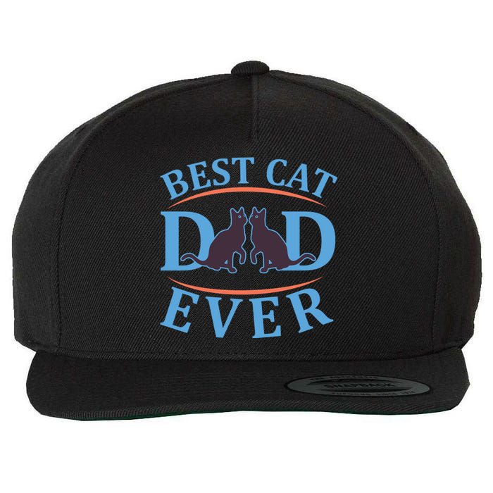 Best Cat Dad Ever Wool Snapback Cap