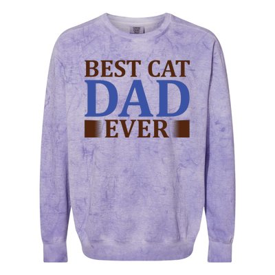 Best Cat Dad Ever Colorblast Crewneck Sweatshirt