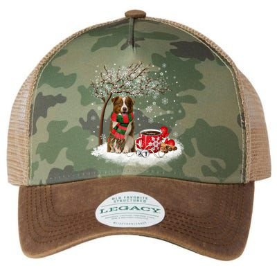 Border Collie Dog In The Snow Christmas Winter Xmas Tree Great Gift Legacy Tie Dye Trucker Hat