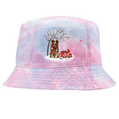 Border Collie Dog In The Snow Christmas Winter Xmas Tree Great Gift Tie-Dyed Bucket Hat