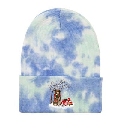 Border Collie Dog In The Snow Christmas Winter Xmas Tree Great Gift Tie Dye 12in Knit Beanie