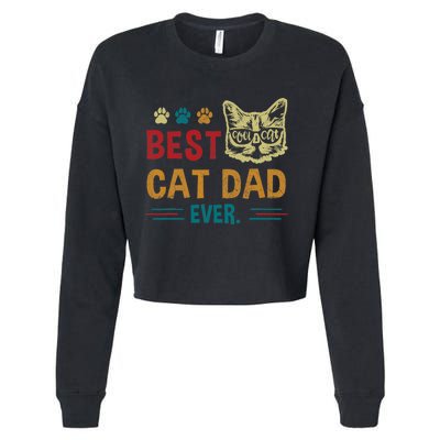 Best Cat Dad Ever Vintage Retro Cat Dad Father Day Cropped Pullover Crew