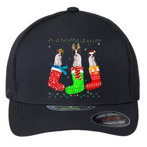 Border Collie Dog In Xmas Socks Funny Ugly Sweater Christmas Gift Flexfit Unipanel Trucker Cap