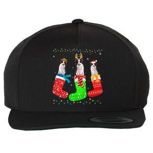 Border Collie Dog In Xmas Socks Funny Ugly Sweater Christmas Gift Wool Snapback Cap