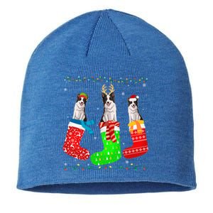 Border Collie Dog In Xmas Socks Funny Ugly Sweater Christmas Gift Sustainable Beanie