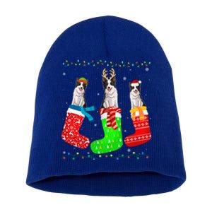 Border Collie Dog In Xmas Socks Funny Ugly Sweater Christmas Gift Short Acrylic Beanie