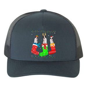 Border Collie Dog In Xmas Socks Funny Ugly Sweater Christmas Gift Yupoong Adult 5-Panel Trucker Hat