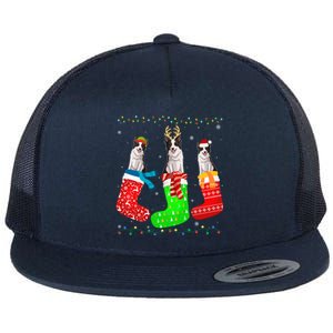 Border Collie Dog In Xmas Socks Funny Ugly Sweater Christmas Gift Flat Bill Trucker Hat