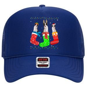 Border Collie Dog In Xmas Socks Funny Ugly Sweater Christmas Gift High Crown Mesh Back Trucker Hat