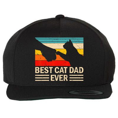 Best Cat Dad Ever Funny Vintage Cat Daddy Wool Snapback Cap