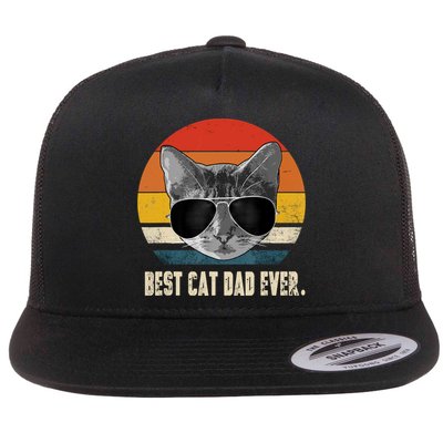 Best Cat Dad Ever Shirt Vintage Retro Cat Daddy Cat Father TShirt Flatbill Hat