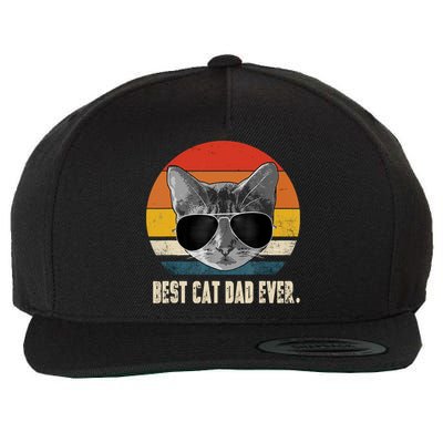Best Cat Dad Ever Shirt Vintage Retro Cat Daddy Cat Father TShirt Wool Snapback Cap