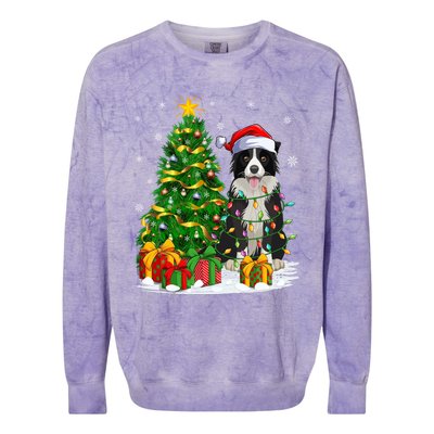 Border Collie Dog Lover Xmas Santa Border Collie Christmas Gift Colorblast Crewneck Sweatshirt