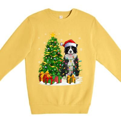 Border Collie Dog Lover Xmas Santa Border Collie Christmas Gift Premium Crewneck Sweatshirt