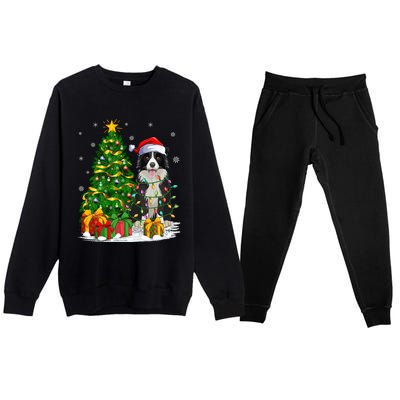 Border Collie Dog Lover Xmas Santa Border Collie Christmas Gift Premium Crewneck Sweatsuit Set