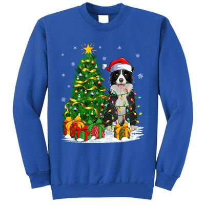 Border Collie Dog Lover Xmas Santa Border Collie Christmas Gift Sweatshirt