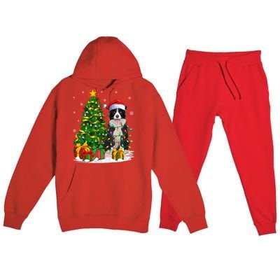 Border Collie Dog Lover Xmas Santa Border Collie Christmas Gift Premium Hooded Sweatsuit Set