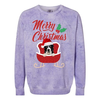 Border Collie Dog Merry Christmas Design For The Holiday Season! Colorblast Crewneck Sweatshirt