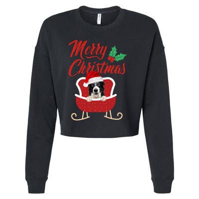 Border Collie Dog Merry Christmas Design For The Holiday Season! Cropped Pullover Crew