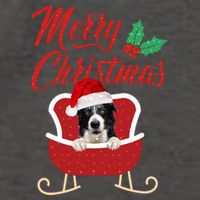 Border Collie Dog Merry Christmas Design For The Holiday Season! Vector Backpack