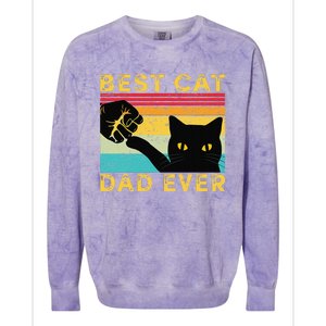 Best Cat Dad Ever Funny Cat Daddy Fist Bump Fathers Day Colorblast Crewneck Sweatshirt