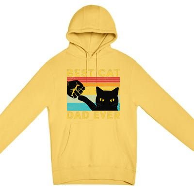 Best Cat Dad Ever Funny Cat Daddy Fist Bump Fathers Day Premium Pullover Hoodie