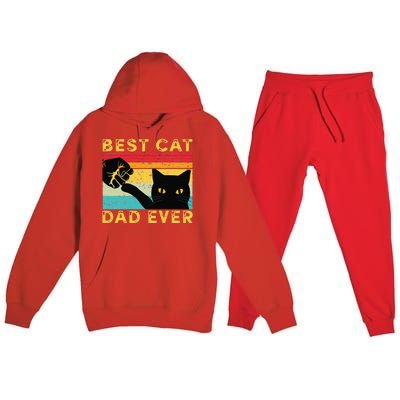 Best Cat Dad Ever Funny Cat Daddy Fist Bump Fathers Day Premium Hooded Sweatsuit Set