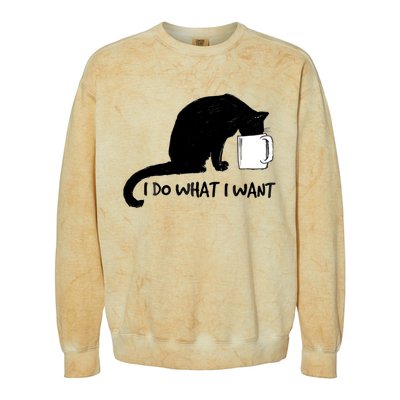 Black Cat Do What I Want Red Cup Funny My Cat Cute Gift Colorblast Crewneck Sweatshirt