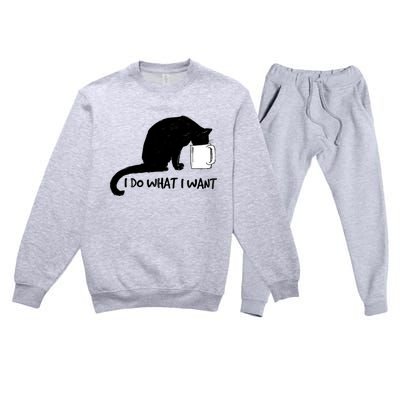 Black Cat Do What I Want Red Cup Funny My Cat Cute Gift Premium Crewneck Sweatsuit Set