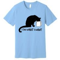 Black Cat Do What I Want Red Cup Funny My Cat Cute Gift Premium T-Shirt