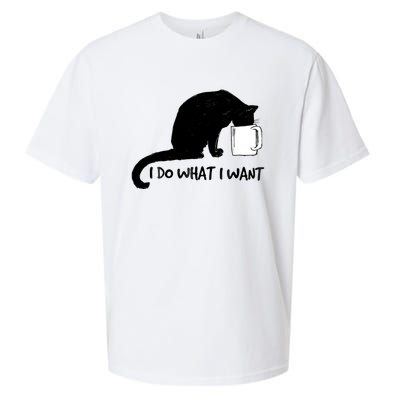 Black Cat Do What I Want Red Cup Funny My Cat Cute Gift Sueded Cloud Jersey T-Shirt