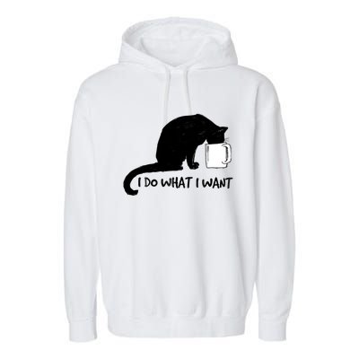 Black Cat Do What I Want Red Cup Funny My Cat Cute Gift Garment-Dyed Fleece Hoodie