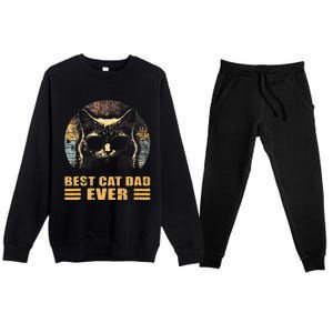 Best Cat Dad Ever FatherS Day Premium Crewneck Sweatsuit Set