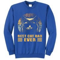 Best Cat Dad Ever FatherS Day Tall Sweatshirt