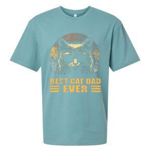 Best Cat Dad Ever FatherS Day Sueded Cloud Jersey T-Shirt