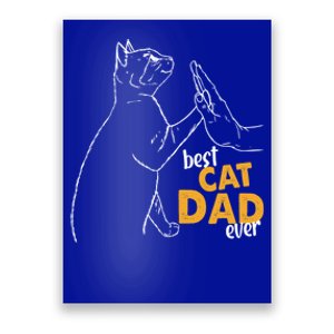 Best Cat Dad Ever Cat Daddy Father Cat Lovers Cat Dad Gift Poster