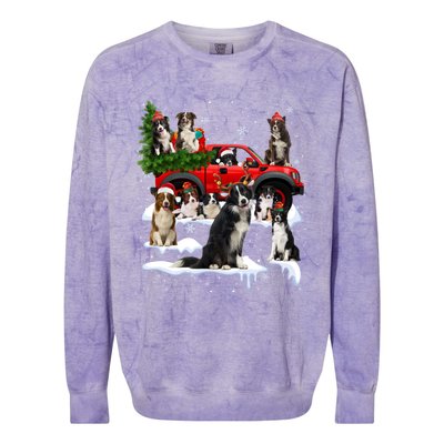 Border Collie Dog Red Truck Christmas Tree Santa Ugly Xmas Cute Gift Colorblast Crewneck Sweatshirt