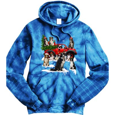 Border Collie Dog Red Truck Christmas Tree Santa Ugly Xmas Cute Gift Tie Dye Hoodie