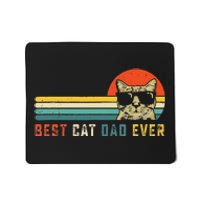 Best Cat Dad Ever FatherS Day Gift Cat Daddy Mousepad