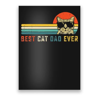 Best Cat Dad Ever FatherS Day Gift Cat Daddy Poster