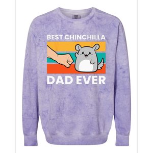 Best Chinchilla Dad Ever Funny Pet Chinchilla Colorblast Crewneck Sweatshirt