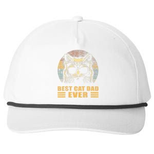 Best Cat Dad Ever FatherS Day Snapback Five-Panel Rope Hat