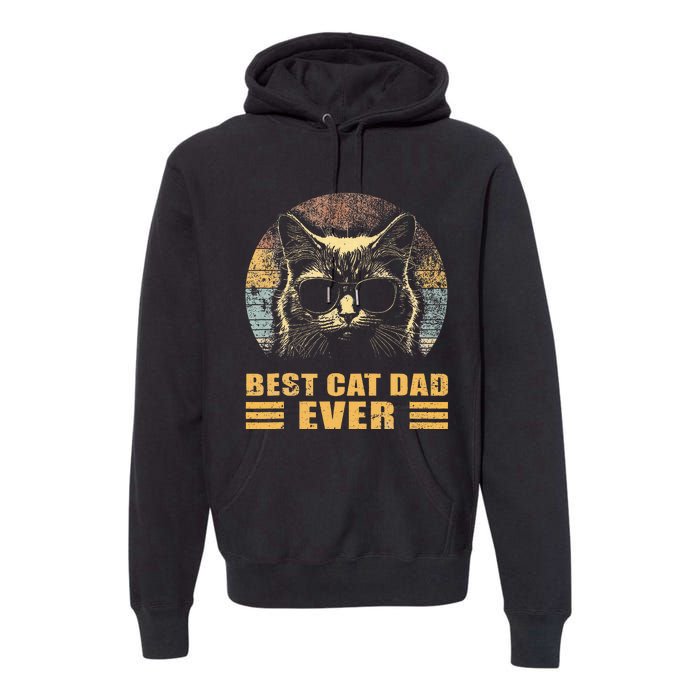 Best Cat Dad Ever FatherS Day Premium Hoodie