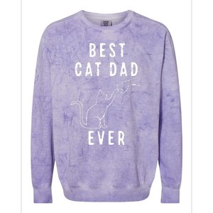 Best Cat Dad Ever Cat Daddy Paw Fist Bump Meow Cat Colorblast Crewneck Sweatshirt