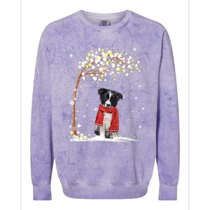 Border Collie Dog Tree Christmas Snow Pajama Xmas Dog Lover Cool Gift Colorblast Crewneck Sweatshirt