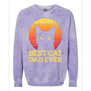 Best Cat Dad Ever Cat Daddy Cat Lover Cat Father Gift Colorblast Crewneck Sweatshirt