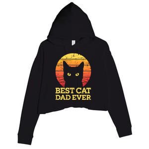 Best Cat Dad Ever Cat Daddy Cat Lover Cat Father Gift Crop Fleece Hoodie