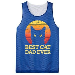 Best Cat Dad Ever Cat Daddy Cat Lover Cat Father Gift Mesh Reversible Basketball Jersey Tank