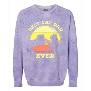 Best Cat Dad Ever Cute Cat Lover Colorblast Crewneck Sweatshirt