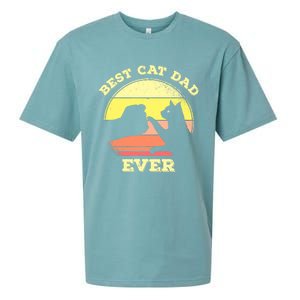 Best Cat Dad Ever Cute Cat Lover Sueded Cloud Jersey T-Shirt